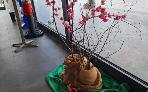 WhatsApp Image 2024-04-03 at 18.12.20 (1)