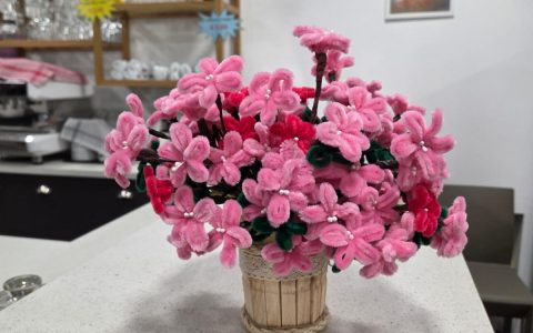 WhatsApp Image 2025-05-16 at 23.44.20